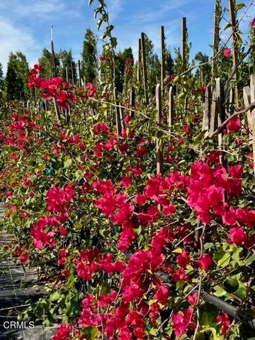 2245 California Avenue, Fillmore, CA 93015