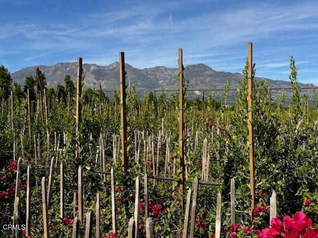 2245 California Avenue, Fillmore, CA 93015