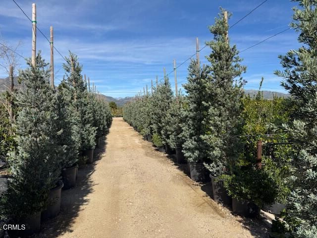 2245 California Avenue, Fillmore, CA 93015