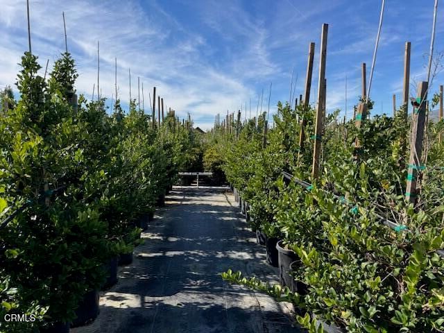 2245 California Avenue, Fillmore, CA 93015