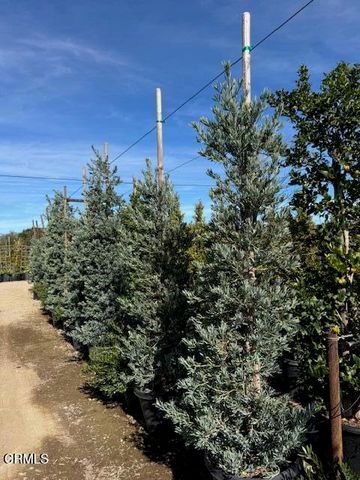 2245 California Avenue, Fillmore, CA 93015