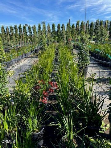 2245 California Avenue, Fillmore, CA 93015