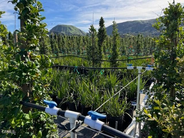 2245 California Avenue, Fillmore, CA 93015