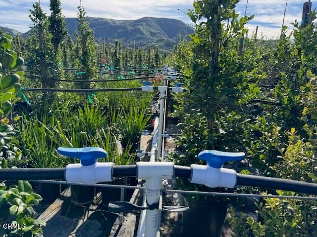 2245 California Avenue, Fillmore, CA 93015