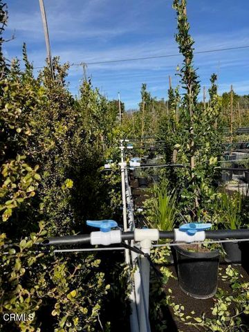 2245 California Avenue, Fillmore, CA 93015