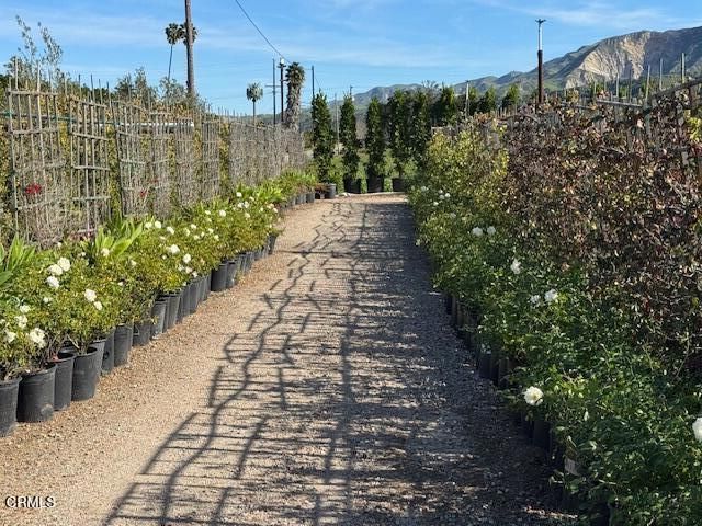 2245 California Avenue, Fillmore, CA 93015