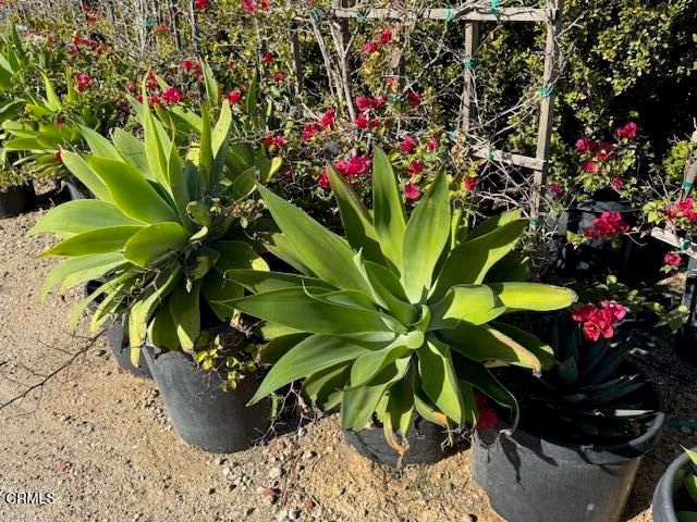 2245 California Avenue, Fillmore, CA 93015