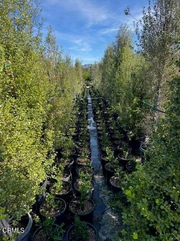 2245 California Avenue, Fillmore, CA 93015