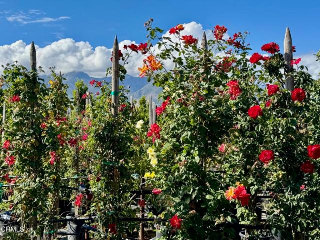 2245 California Avenue, Fillmore, CA 93015