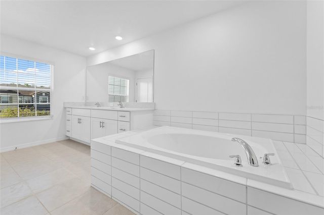 17712 NECTAR FLUME DRIVE, Land O Lakes, FL 34638