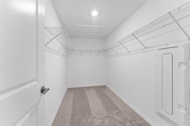 17712 NECTAR FLUME DRIVE, Land O Lakes, FL 34638