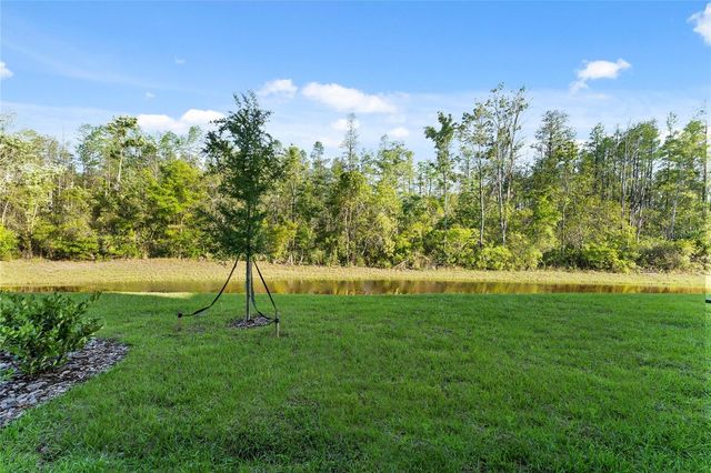 17712 NECTAR FLUME DRIVE, Land O Lakes, FL 34638