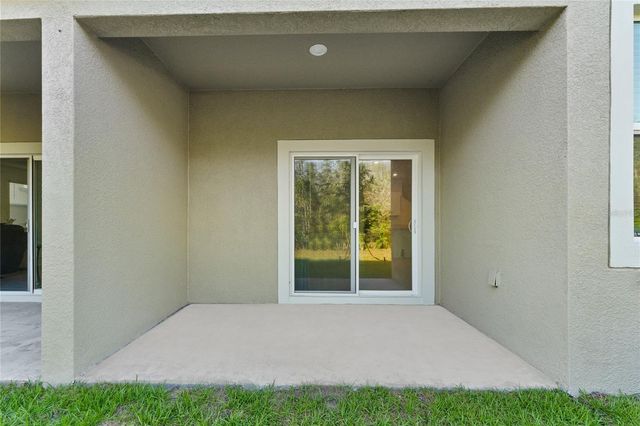 17712 NECTAR FLUME DRIVE, Land O Lakes, FL 34638