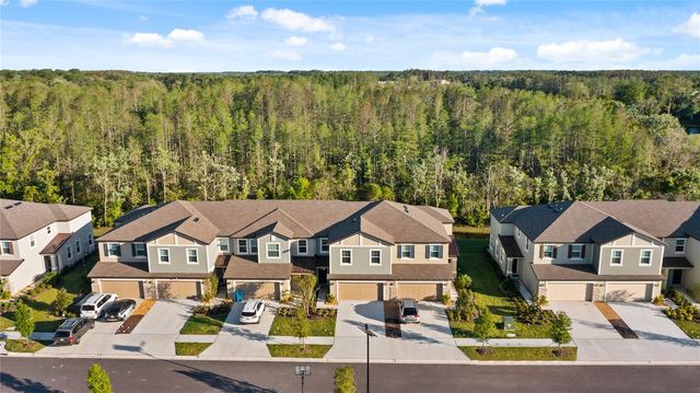 17712 NECTAR FLUME DRIVE, Land O Lakes, FL 34638