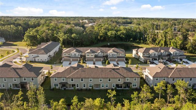 17712 NECTAR FLUME DRIVE, Land O Lakes, FL 34638