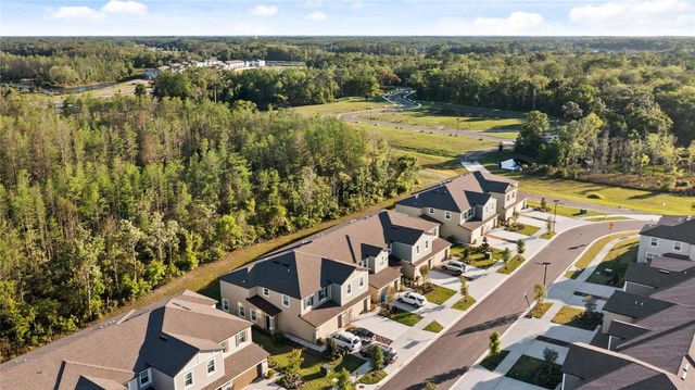 17712 NECTAR FLUME DRIVE, Land O Lakes, FL 34638