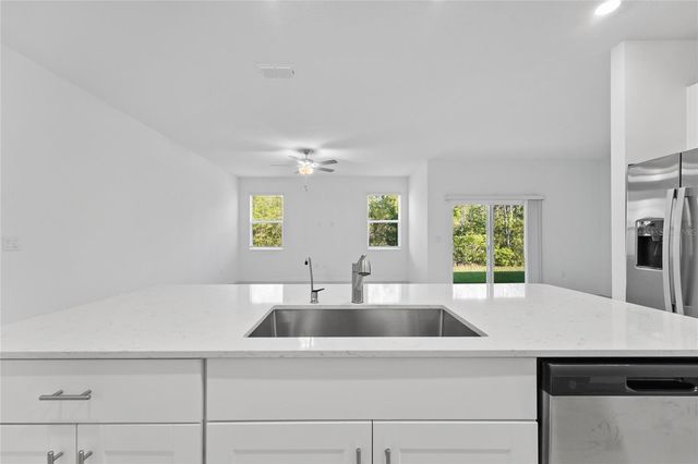 17712 NECTAR FLUME DRIVE, Land O Lakes, FL 34638