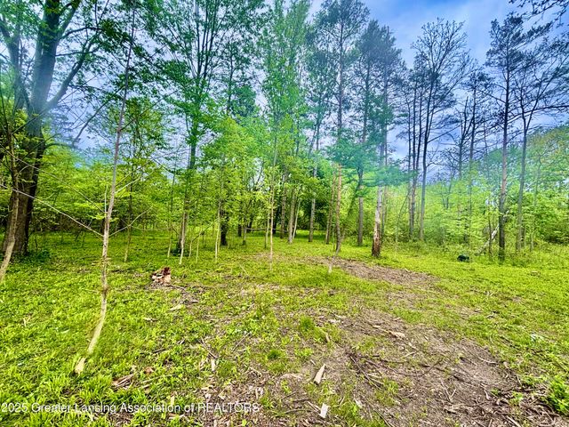 Parcel C Willow, Lansing, MI 48917