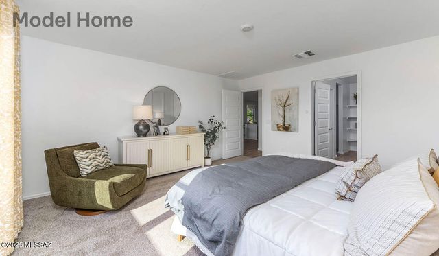 10100 N Camperi Lane, Marana, AZ 85653