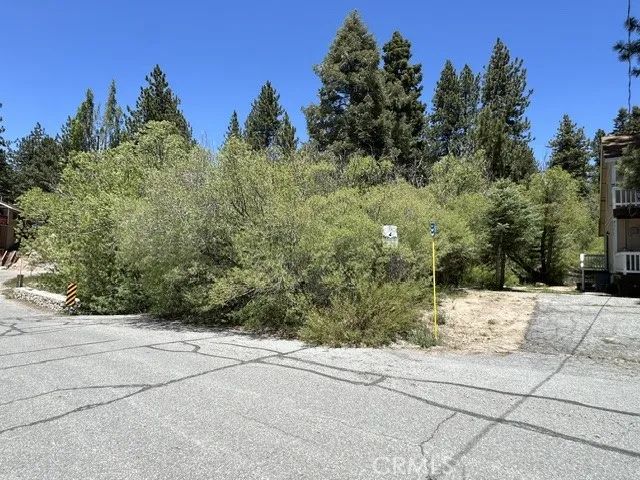 0 Wild Rose, Green Valley Lake, CA 92341