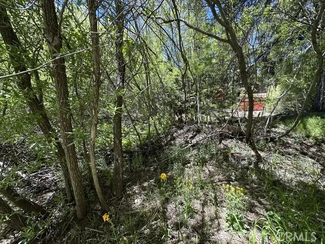 0 Wild Rose, Green Valley Lake, CA 92341