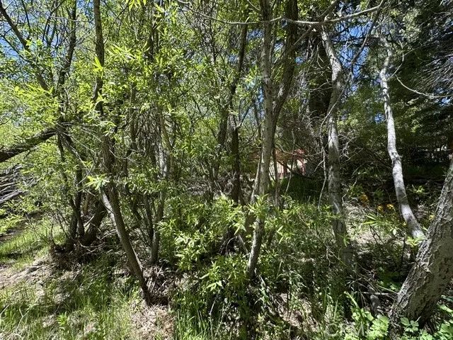 0 Wild Rose, Green Valley Lake, CA 92341