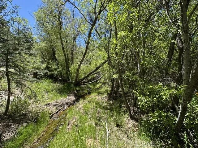 0 Wild Rose, Green Valley Lake, CA 92341