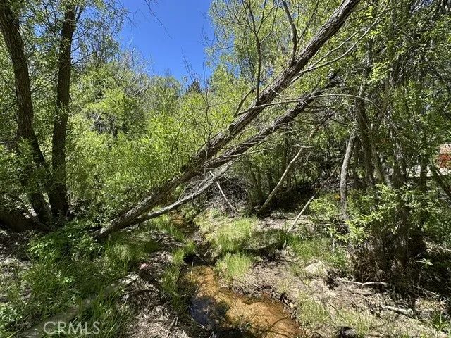 0 Wild Rose, Green Valley Lake, CA 92341