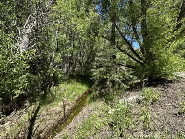 0 Wild Rose, Green Valley Lake, CA 92341
