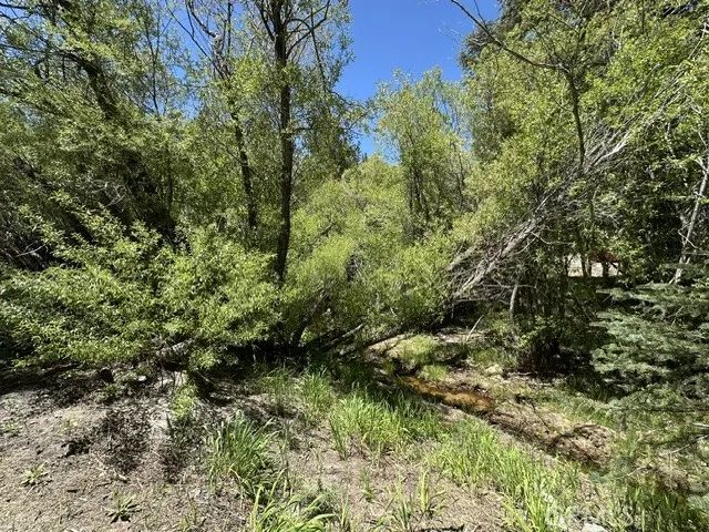 0 Wild Rose, Green Valley Lake, CA 92341