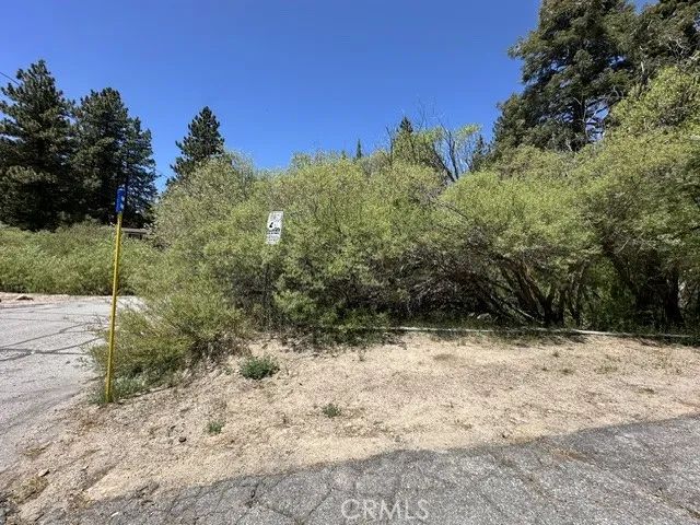 0 Wild Rose, Green Valley Lake, CA 92341