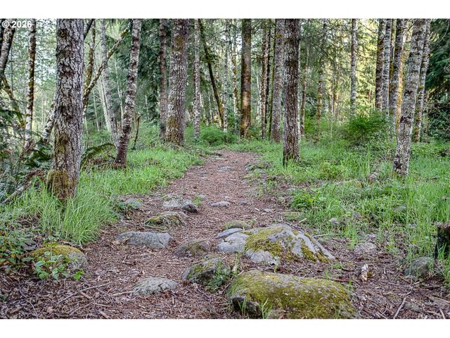 22260 E WILD FERN Ln, Brightwood, OR 97011