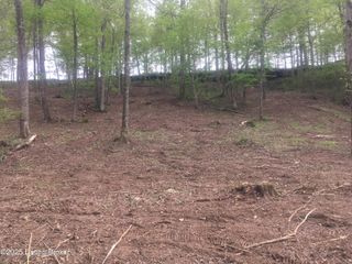 925 Elm Hill Rd, Leitchfield, KY 42754