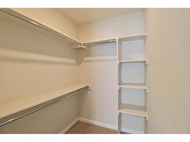 4209 Rockcress Rd, Evans, CO 80620