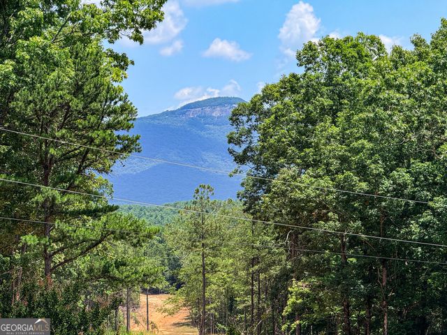 1917 Albert Reid Road, Cleveland, GA 30528