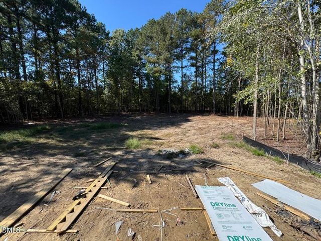 4209 Portola Drive, Zebulon, NC 27597