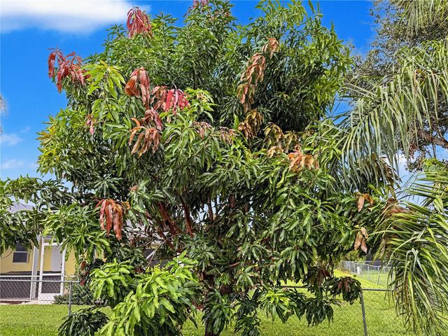 209 SW 42ND STREET, Cape Coral, FL 33914