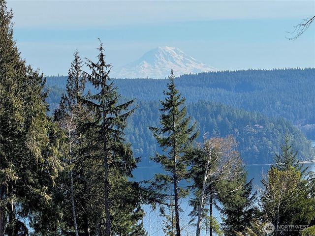 65 Devereaux Drive, Lilliwaup, WA 98555