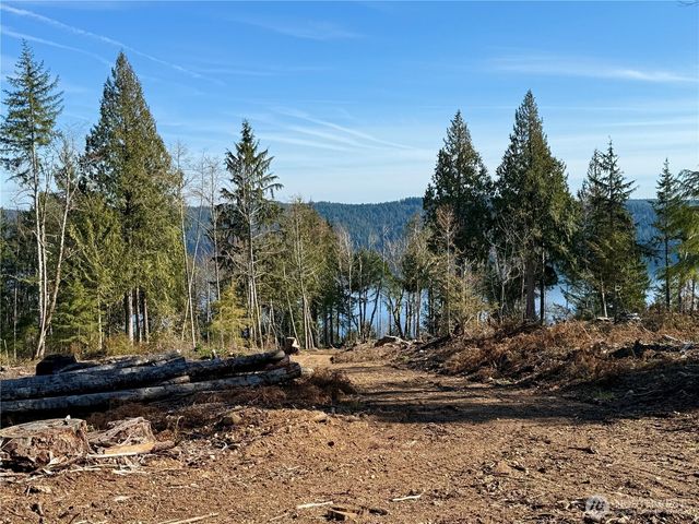 65 Devereaux Drive, Lilliwaup, WA 98555