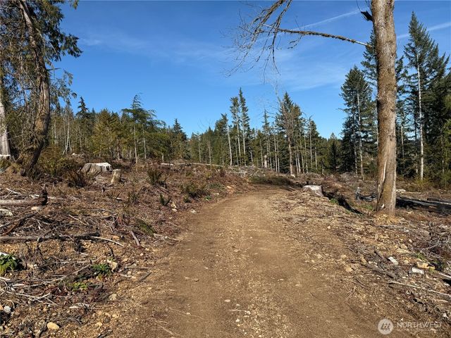 65 Devereaux Drive, Lilliwaup, WA 98555