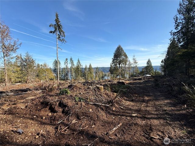 65 Devereaux Drive, Lilliwaup, WA 98555