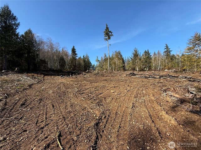 65 Devereaux Drive, Lilliwaup, WA 98555