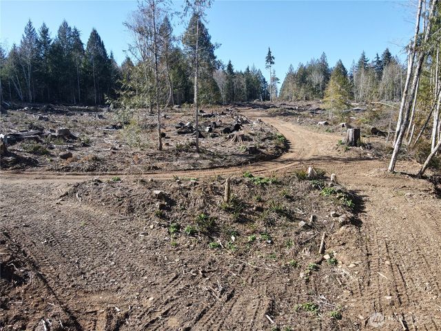 65 Devereaux Drive, Lilliwaup, WA 98555