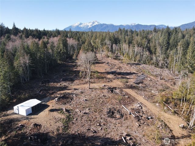 65 Devereaux Drive, Lilliwaup, WA 98555