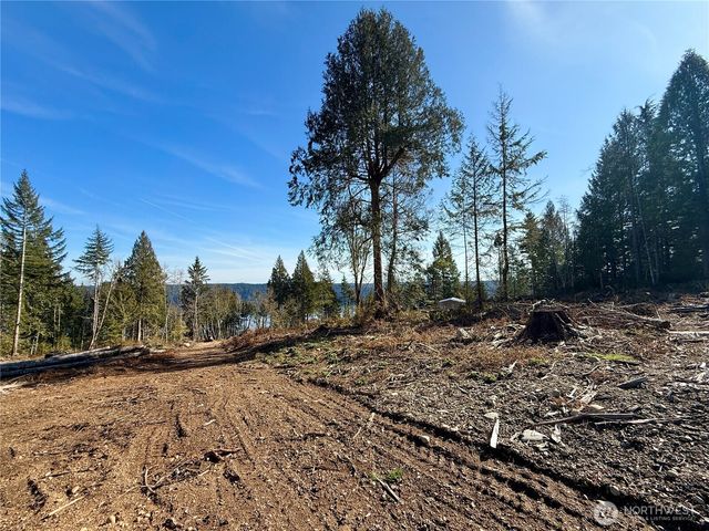 65 Devereaux Drive, Lilliwaup, WA 98555