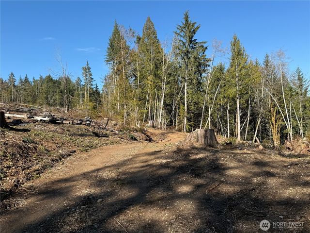 65 Devereaux Drive, Lilliwaup, WA 98555