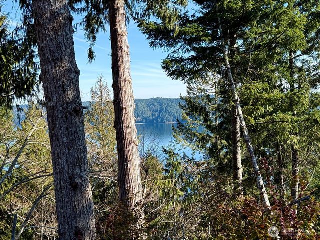 65 Devereaux Drive, Lilliwaup, WA 98555