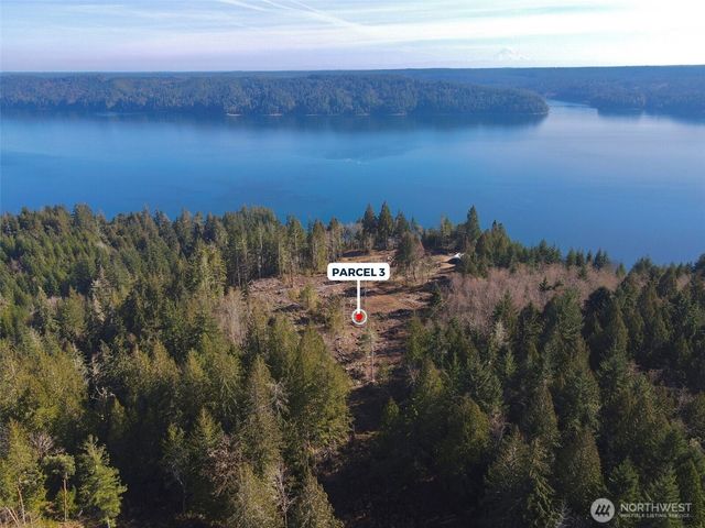 65 Devereaux Drive, Lilliwaup, WA 98555