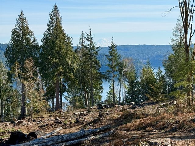 65 Devereaux Drive, Lilliwaup, WA 98555