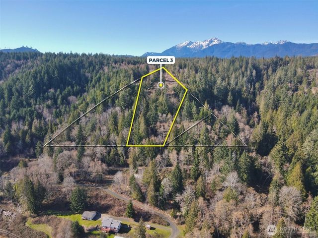 65 Devereaux Drive, Lilliwaup, WA 98555